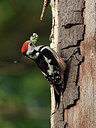 BUITEN BEELD Foto: 405870