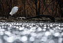 BUITEN BEELD Foto: 406005