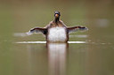 BUITEN BEELD Foto: 406013