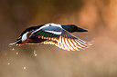 BUITEN BEELD Foto: 406031