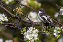 BUITEN BEELD Foto: 406035
