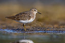 BUITEN BEELD Foto: 406071