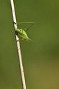 BUITEN BEELD Foto: 406227