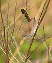 BUITEN BEELD Foto: 406251