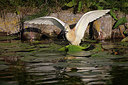 BUITEN BEELD Foto: 406319