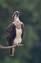BUITEN BEELD Foto: 406339