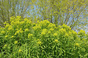 BUITEN BEELD Foto: 406421