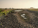 BUITEN BEELD Foto: 406564