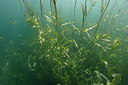 BUITEN BEELD Foto: 406622