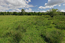 BUITEN BEELD Foto: 406740