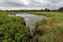 BUITEN BEELD Foto: 406751