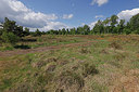 BUITEN BEELD Foto: 406754