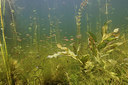 BUITEN BEELD Foto: 406757