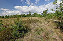 BUITEN BEELD Foto: 406766
