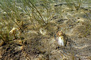 BUITEN BEELD Foto: 406832