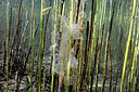 BUITEN BEELD Foto: 406962