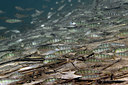 BUITEN BEELD Foto: 407006