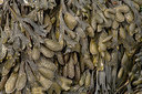 BUITEN BEELD Foto: 407143