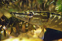 BUITEN BEELD Foto: 407284