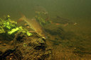 BUITEN BEELD Foto: 407291