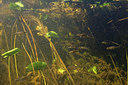 BUITEN BEELD Foto: 407294
