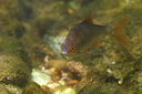 BUITEN BEELD Foto: 407305