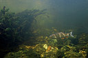 BUITEN BEELD Foto: 407313