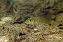BUITEN BEELD Foto: 407316