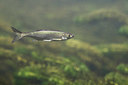 BUITEN BEELD Foto: 407329