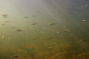 BUITEN BEELD Foto: 407331