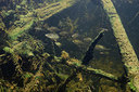 BUITEN BEELD Foto: 407333