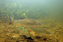 BUITEN BEELD Foto: 407335