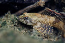 BUITEN BEELD Foto: 407351