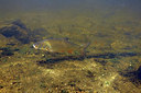 BUITEN BEELD Foto: 407361