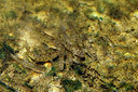 BUITEN BEELD Foto: 407370