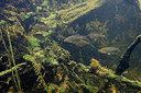 BUITEN BEELD Foto: 407400