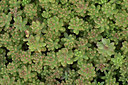 BUITEN BEELD Foto: 407422