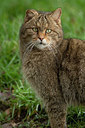 BUITEN BEELD Foto: 407444