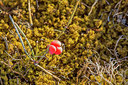 BUITEN BEELD Foto: 407450