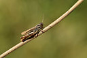 BUITEN BEELD Foto: 407557