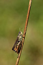 BUITEN BEELD Foto: 407565
