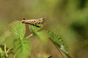 BUITEN BEELD Foto: 407567