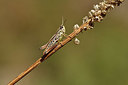 BUITEN BEELD Foto: 407570