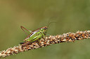 BUITEN BEELD Foto: 407575