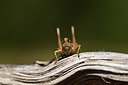BUITEN BEELD Foto: 407591