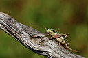 BUITEN BEELD Foto: 407593
