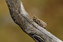 BUITEN BEELD Foto: 407594