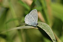 BUITEN BEELD Foto: 407609