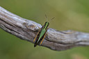 BUITEN BEELD Foto: 407631