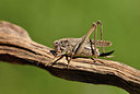 BUITEN BEELD Foto: 407642